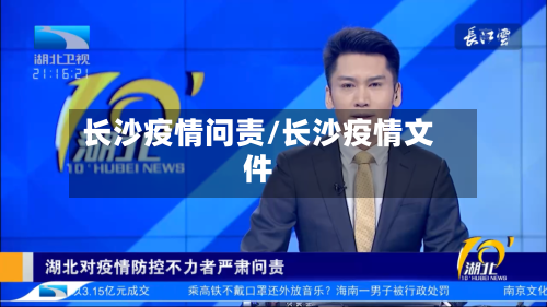 长沙疫情问责/长沙疫情文件