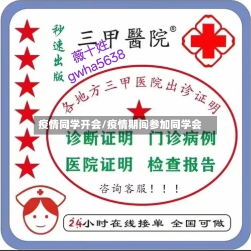 疫情同学开会/疫情期间参加同学会