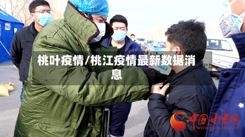 桃叶疫情/桃江疫情最新数据消息