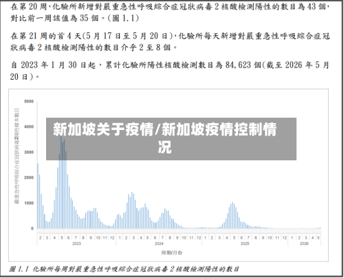 新加坡关于疫情/新加坡疫情控制情况
