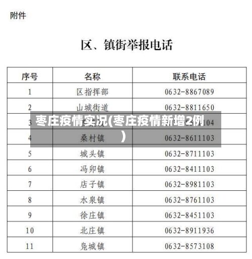 枣庄疫情实况(枣庄疫情新增2例)