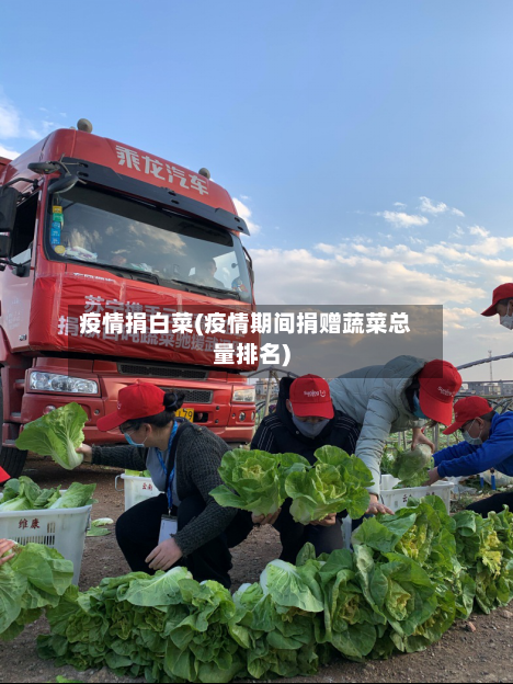 疫情捐白菜(疫情期间捐赠蔬菜总量排名)