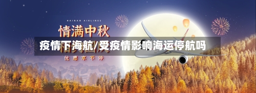 疫情下海航/受疫情影响海运停航吗
