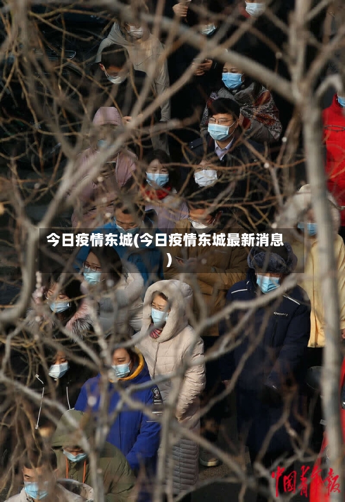 今日疫情东城(今日疫情东城最新消息)