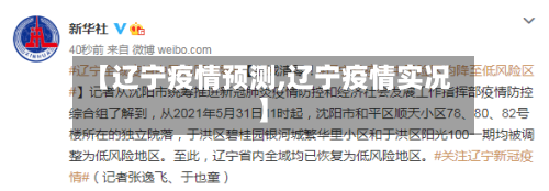 【辽宁疫情预测,辽宁疫情实况】