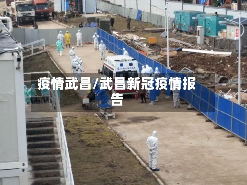 疫情武昌/武昌新冠疫情报告