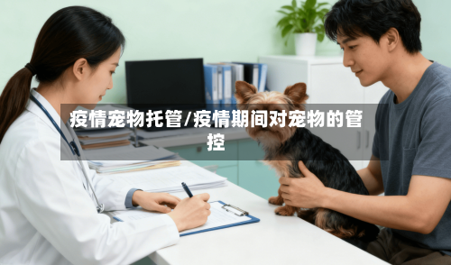 疫情宠物托管/疫情期间对宠物的管控