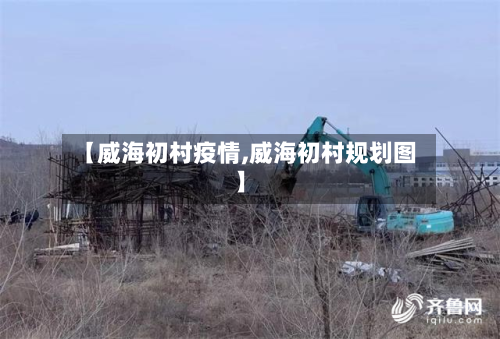 【威海初村疫情,威海初村规划图】
