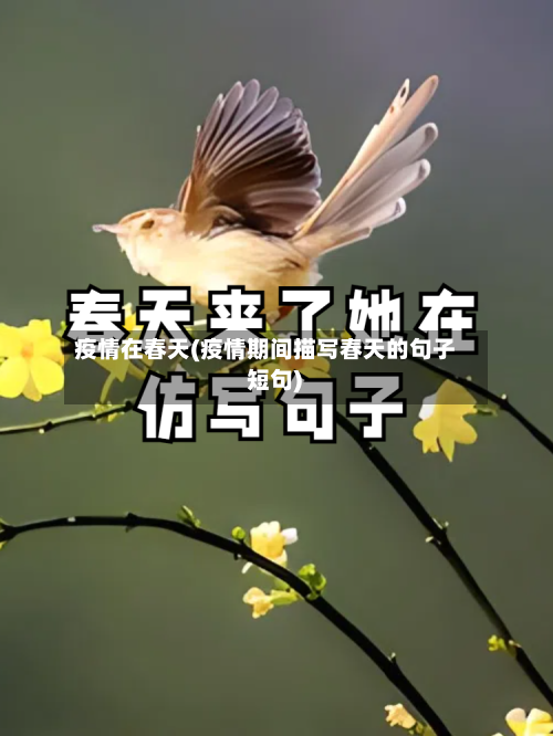 疫情在春天(疫情期间描写春天的句子 短句)
