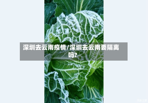 深圳去云南疫情/深圳去云南要隔离吗?