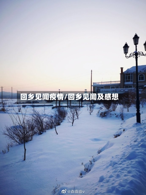 回乡见闻疫情/回乡见闻及感想