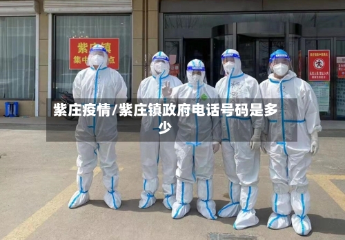 紫庄疫情/紫庄镇政府电话号码是多少