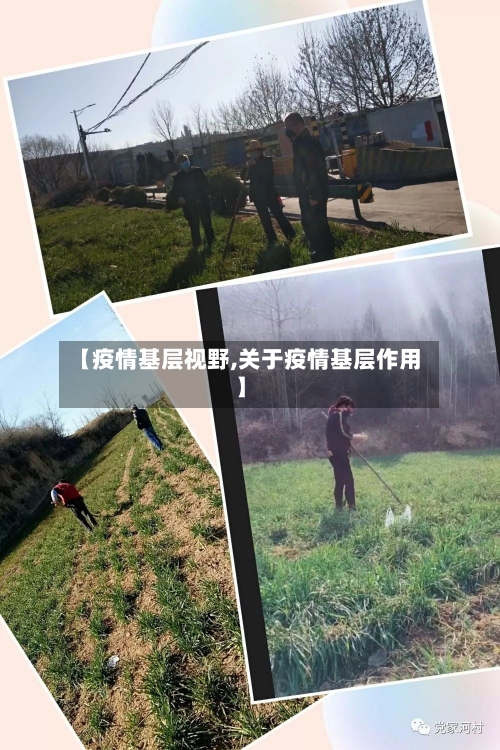 【疫情基层视野,关于疫情基层作用】