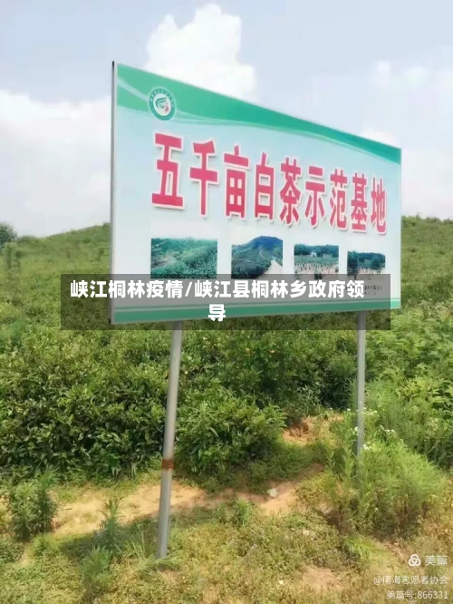 峡江桐林疫情/峡江县桐林乡政府领导