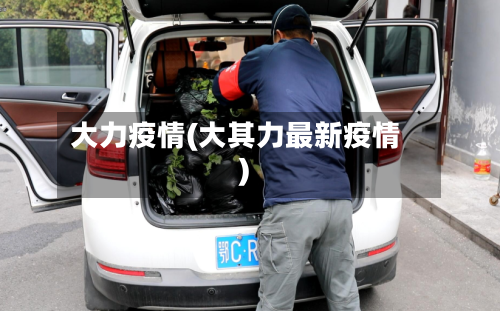 大力疫情(大其力最新疫情)