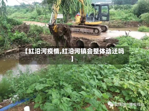 【红沿河疫情,红沿河镇会整体动迁吗】