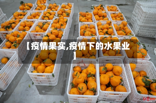 【疫情果实,疫情下的水果业】