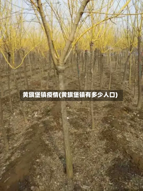 黄旗堡镇疫情(黄旗堡镇有多少人口)
