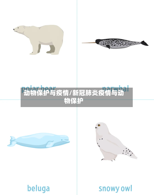 动物保护与疫情/新冠肺炎疫情与动物保护