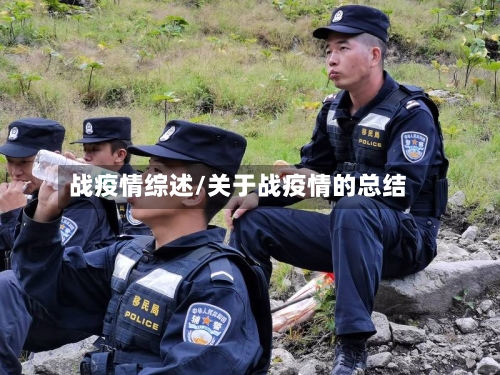 战疫情综述/关于战疫情的总结