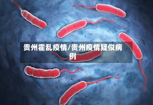 贵州霍乱疫情/贵州疫情疑似病例