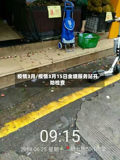 疫情3月/疫情3月15日金塘服务站开始检查