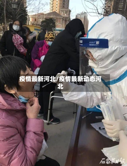 疫情最新河北/疫情最新动态河北