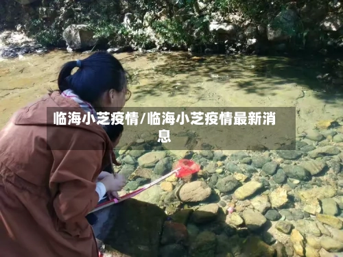 临海小芝疫情/临海小芝疫情最新消息