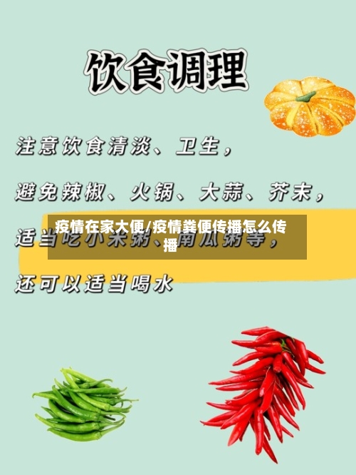 疫情在家大便/疫情粪便传播怎么传播