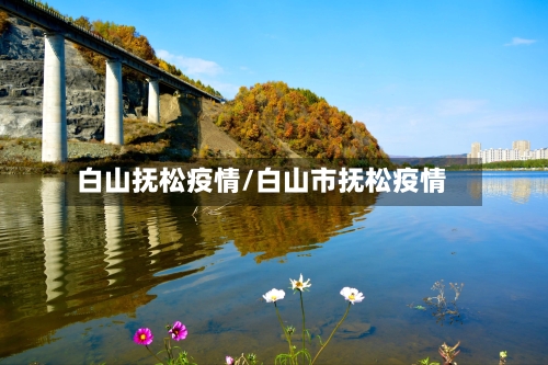 白山抚松疫情/白山市抚松疫情