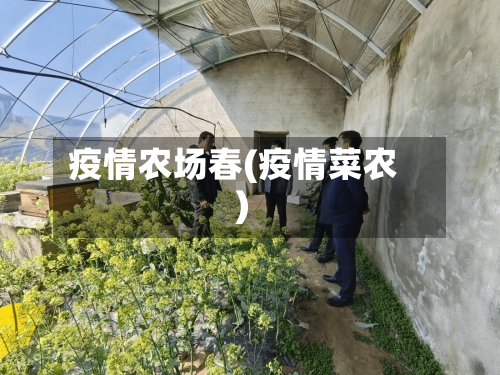 疫情农场春(疫情菜农)