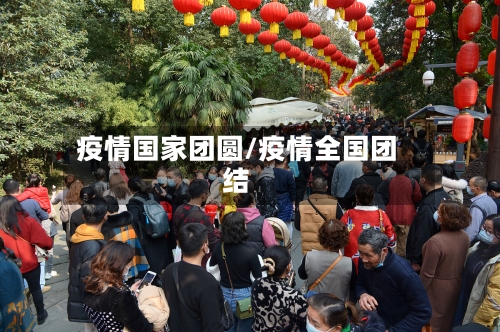 疫情国家团圆/疫情全国团结