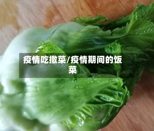疫情吃撒菜/疫情期间的饭菜