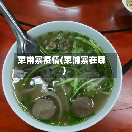 束甫寨疫情(束浦寨在哪)