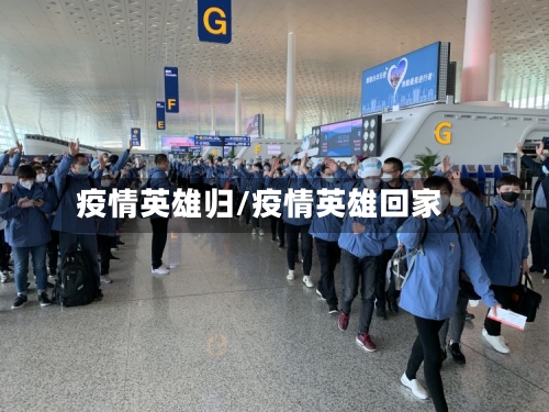 疫情英雄归/疫情英雄回家