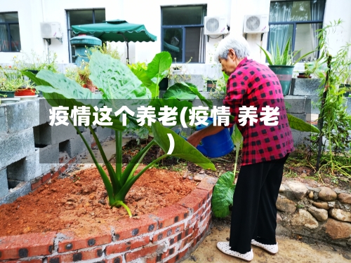 疫情这个养老(疫情 养老)