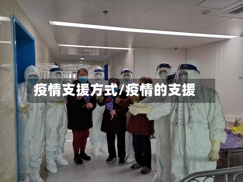 疫情支援方式/疫情的支援