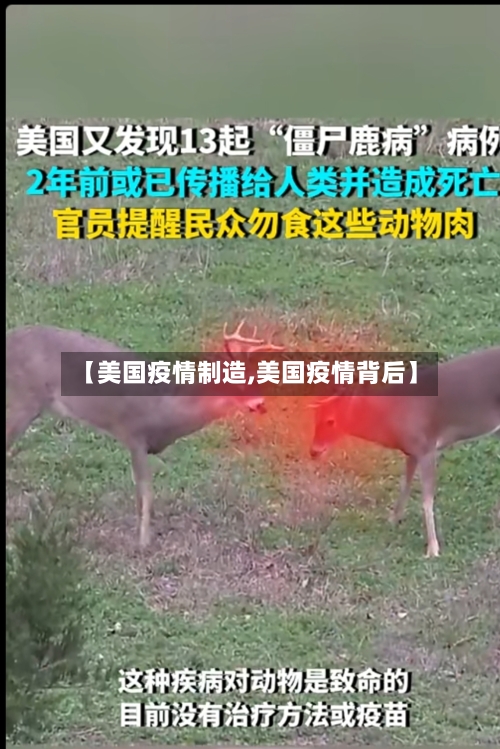【美国疫情制造,美国疫情背后】
