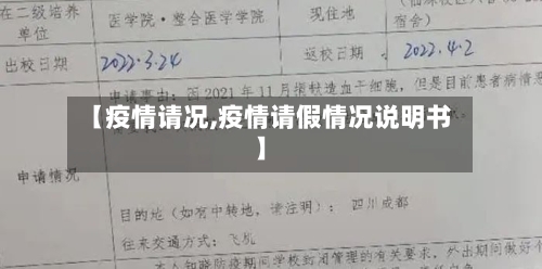 【疫情请况,疫情请假情况说明书】