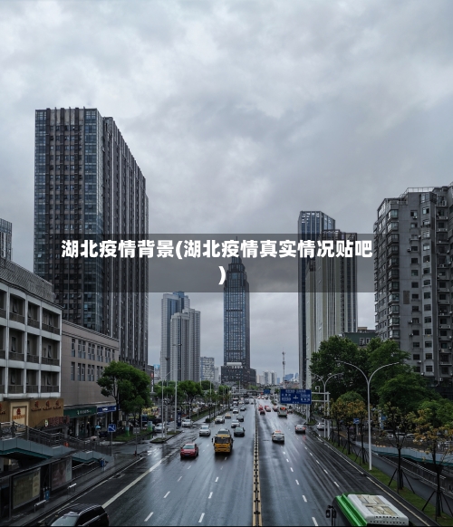 湖北疫情背景(湖北疫情真实情况贴吧)