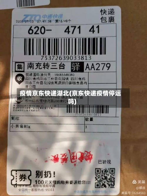 疫情京东快递湖北(京东快递疫情停运吗)