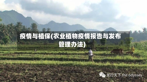 疫情与植保(农业植物疫情报告与发布管理办法)