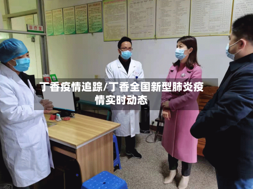 丁香疫情追踪/丁香全国新型肺炎疫情实时动态