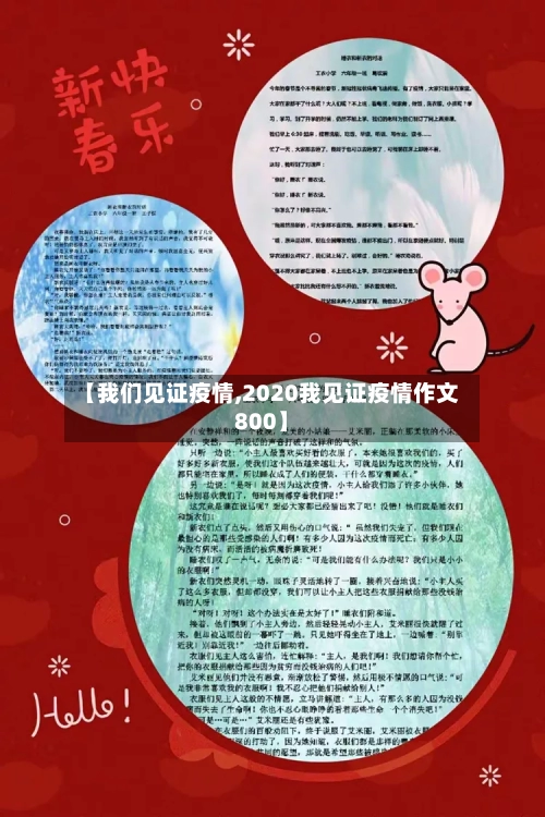 【我们见证疫情,2020我见证疫情作文800】