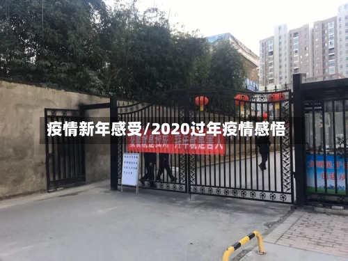 疫情新年感受/2020过年疫情感悟