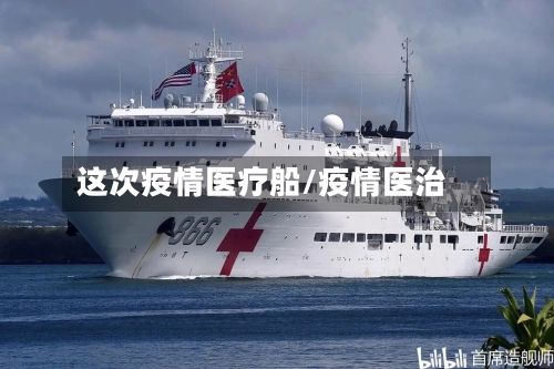 这次疫情医疗船/疫情医治