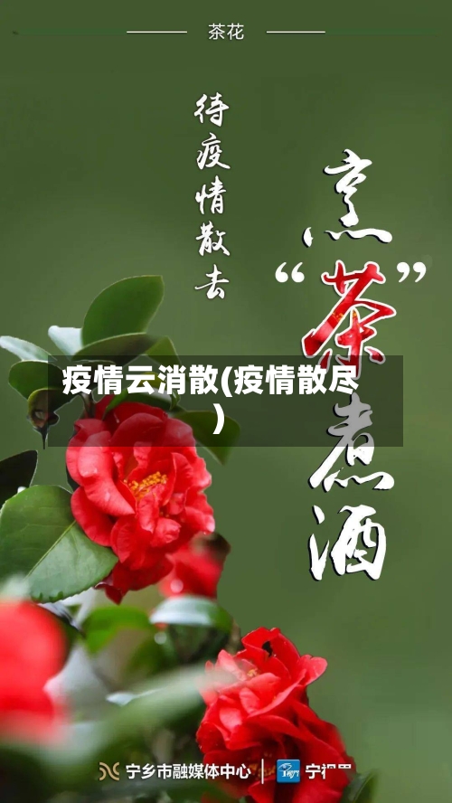 疫情云消散(疫情散尽)
