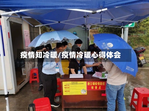 疫情知冷暖/疫情冷暖心得体会