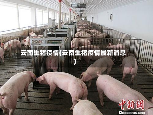 云南生猪疫情(云南生猪疫情最新消息)
