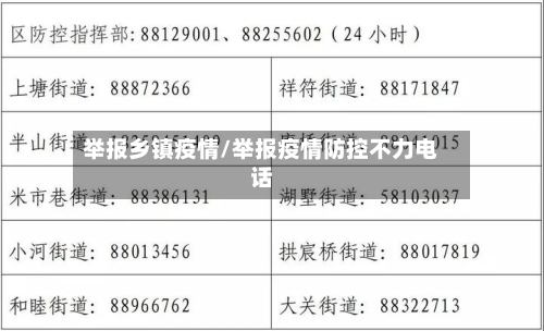 举报乡镇疫情/举报疫情防控不力电话
